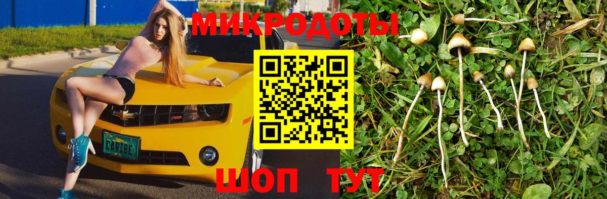 Псилоцибиновые грибы Psilocybine cubensis  Вход с VPN  Северобайкальск  наркотики  Галлюциногенные грибы MAGIC MUSHROOMS 