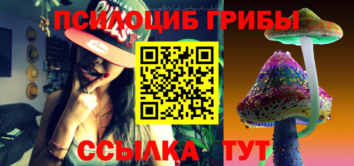 Псилоцибиновые грибы Magic Shrooms Северобайкальск